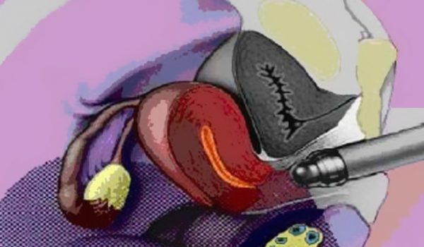 ginecologia-obstetricia